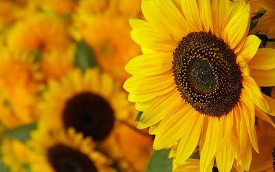 Blog 3