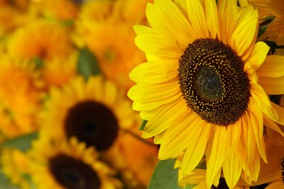 Blog 3